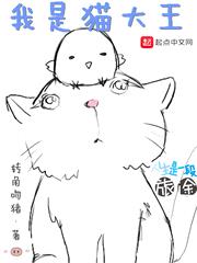 我是猫大王小说下载