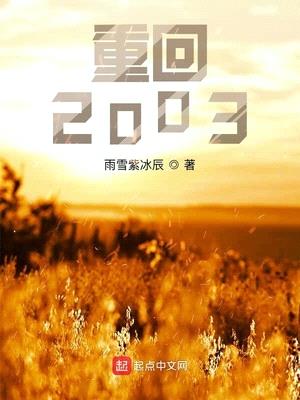 重回2003小说主角陈平叫什么名字