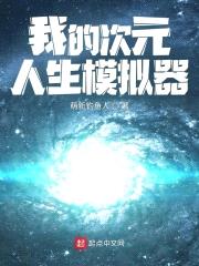 我的次元人生模拟器全结局攻略视频教程下载